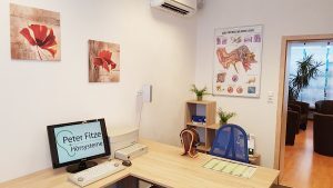 Helles Hörgeräteakustiker-Büro mit Schreibtisch, Computer und medizinischer Wandtafel.